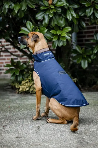 Horseware Ireland Signature Dog Rain Coat 100G| Online For Equine