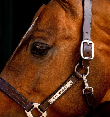 Horseware Ireland Signature Leather Headcollar| Online For Equine