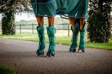 Horseware Ireland Signature Travel Boots Hunter Green| Online For Equine