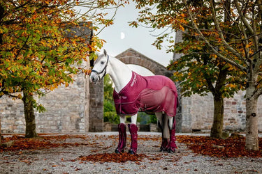 Horseware Ireland Signature Travel Cooler| Online For Equine