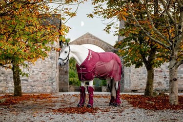 Horseware Ireland Signature Travel Cooler| Online For Equine