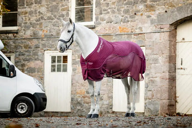 Horseware Ireland Signature Travel Cooler| Online For Equine