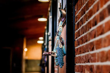 Horseware Ireland Signature Webbing Headcollar| Online For Equine