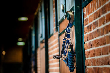 Horseware Ireland Signature Webbing Headcollar| Online For Equine