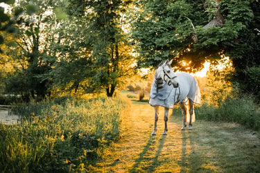 Horseware Ireland Silver/Thunderstorm Grey & Silver Rambo Optimo Protector Plus| Online For Equine
