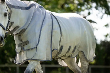 Horseware Ireland Silver/Thunderstorm Grey & Silver Rambo Optimo Protector Plus| Online For Equine