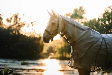 Horseware Ireland Silver/Thunderstorm Grey & Silver Rambo Optimo Protector Plus| Online For Equine