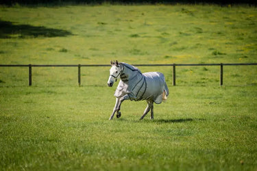 Horseware Ireland Silver/Thunderstorm Grey & Silver Rambo Optimo Protector Plus| Online For Equine