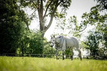 Horseware Ireland Silver/Thunderstorm Grey & Silver Rambo Optimo Protector Plus| Online For Equine