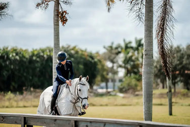 Horseware Ireland Silver/Titanium Grey & Silver Amigo Flyrider| Online For Equine