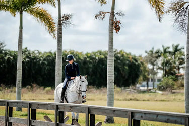 Horseware Ireland Silver/Titanium Grey & Silver Amigo Flyrider| Online For Equine