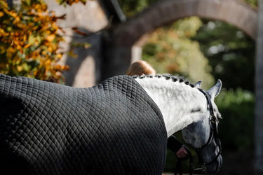 Horseware Ireland Thermal Cooler Black / Thunderstorm Grey & Silver| Online For Equine