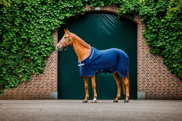 Horseware Ireland Thermal Cooler Navy / Navy & Silver| Online For Equine