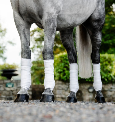 Horseware Ireland White Horseware Ireland Fleece Bandages| Online For Equine