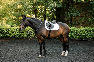 Horseware Ireland White Horseware Ireland Ionic Close Contact Saddle Pad| Online For Equine