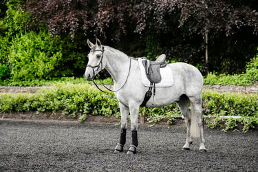 Horseware Ireland White Horseware Ireland Ionic Dressage Saddle Pad| Online For Equine