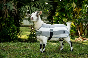 Horseware Ireland Witney Charcoal Horseware Ireland Newmarket Goat Fleece| Online For Equine