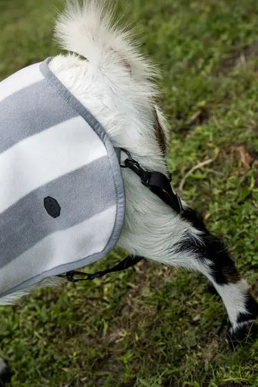 Horseware Ireland Witney Charcoal Horseware Ireland Newmarket Goat Fleece| Online For Equine