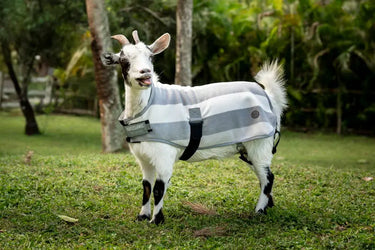 Horseware Ireland Witney Charcoal Horseware Ireland Newmarket Goat Fleece| Online For Equine