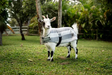 Horseware Ireland Witney Charcoal Horseware Ireland Newmarket Goat Fleece| Online For Equine