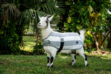 Horseware Ireland Witney Charcoal Horseware Ireland Newmarket Goat Fleece| Online For Equine