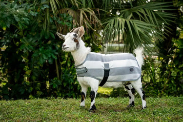 Horseware Ireland Witney Charcoal Horseware Ireland Newmarket Goat Fleece| Online For Equine