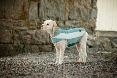 Horseware Ireland Witney Dynasty Horseware Ireland Newmarket Dog Fleece| Online For Equine