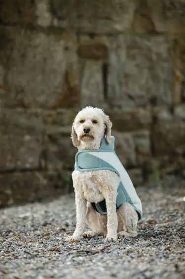 Horseware Ireland Witney Dynasty Horseware Ireland Newmarket Dog Fleece| Online For Equine