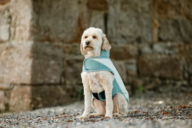 Horseware Ireland Witney Dynasty Horseware Ireland Newmarket Dog Fleece| Online For Equine