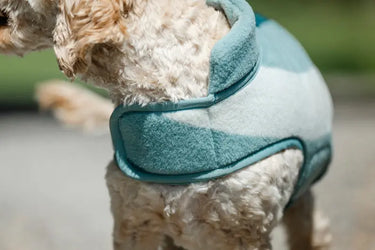 Horseware Ireland Witney Dynasty Horseware Ireland Newmarket Dog Fleece| Online For Equine