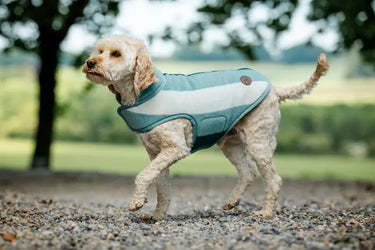 Horseware Ireland Witney Dynasty Horseware Ireland Newmarket Dog Fleece| Online For Equine