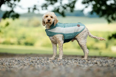 Horseware Ireland Witney Dynasty Horseware Ireland Newmarket Dog Fleece| Online For Equine