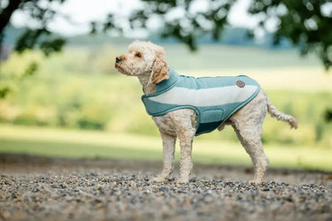 Horseware Ireland Witney Dynasty Horseware Ireland Newmarket Dog Fleece| Online For Equine