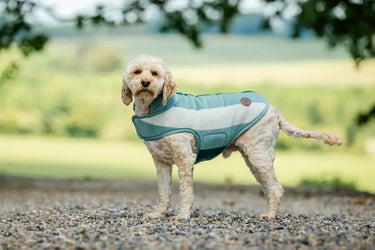 Horseware Ireland Witney Dynasty Horseware Ireland Newmarket Dog Fleece| Online For Equine