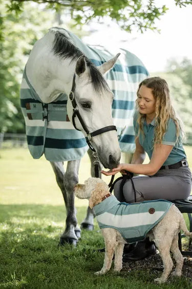 Horseware Ireland Witney Dynasty Horseware Ireland Newmarket Dog Fleece| Online For Equine