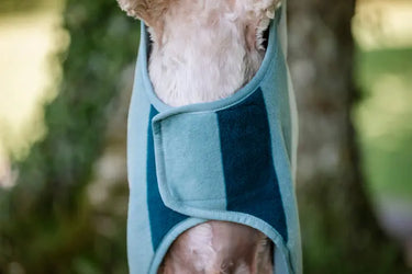 Horseware Ireland Witney Dynasty Horseware Ireland Newmarket Dog Fleece| Online For Equine