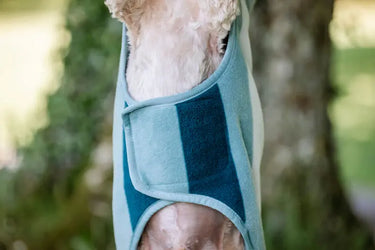 Horseware Ireland Witney Dynasty Horseware Ireland Newmarket Dog Fleece| Online For Equine