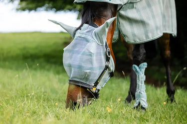 Horseware Ireland Witney Dynasty Horseware Ireland Newmarket Fly Mask| Online For Equine