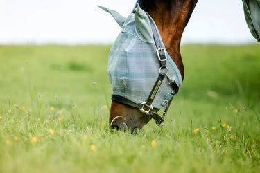 Horseware Ireland Witney Dynasty Horseware Ireland Newmarket Fly Mask| Online For Equine