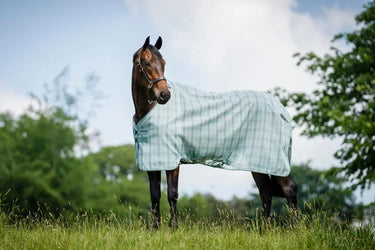 Horseware Ireland Witney Dynasty Horseware Ireland Newmarket Fly Sheet| Online For Equine