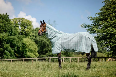 Horseware Ireland Witney Dynasty Horseware Ireland Newmarket Plus Fly Sheet| Online For Equine