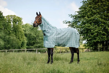 Horseware Ireland Witney Dynasty Horseware Ireland Newmarket Plus Fly Sheet| Online For Equine