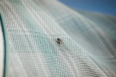 Horseware Ireland Witney Dynasty Horseware Ireland Newmarket Plus Fly Sheet| Online For Equine