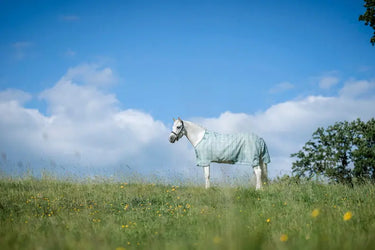 Horseware Ireland Witney Dynasty Horseware Ireland Newmarket Pony Fly Sheet| Online For Equine