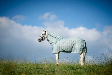 Horseware Ireland Witney Dynasty Horseware Ireland Newmarket Pony Plus Fly Sheet| Online For Equine