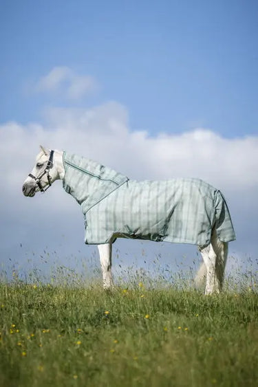 Horseware Ireland Witney Dynasty Horseware Ireland Newmarket Pony Plus Fly Sheet| Online For Equine
