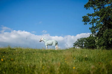 Horseware Ireland Witney Dynasty Horseware Ireland Newmarket Pony Plus Fly Sheet| Online For Equine