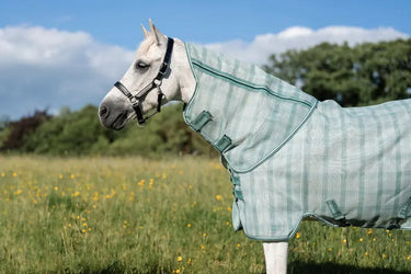 Horseware Ireland Witney Dynasty Horseware Ireland Newmarket Pony Plus Fly Sheet| Online For Equine