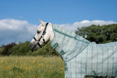 Horseware Ireland Witney Dynasty Horseware Ireland Newmarket Pony Plus Fly Sheet| Online For Equine