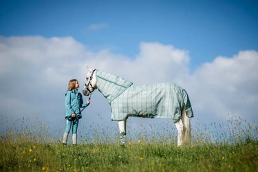 Horseware Ireland Witney Dynasty Horseware Ireland Newmarket Pony Plus Fly Sheet| Online For Equine